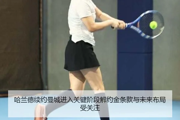 ha-lan-de-xu-yue-man-cheng-jin-ru-guan-jian-jie-duan-jie-yue-jin-tiao-kuan-yu-wei-lai-bu-ju-shou-guan-zhu-2-282.jpg