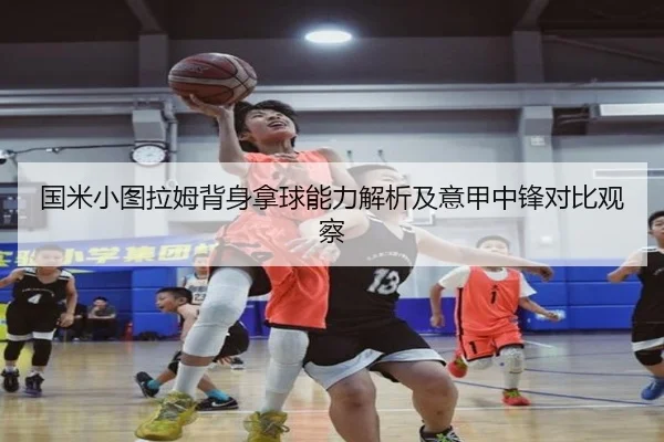 国米小图拉姆背身拿球能力解析及意甲中锋对比观察