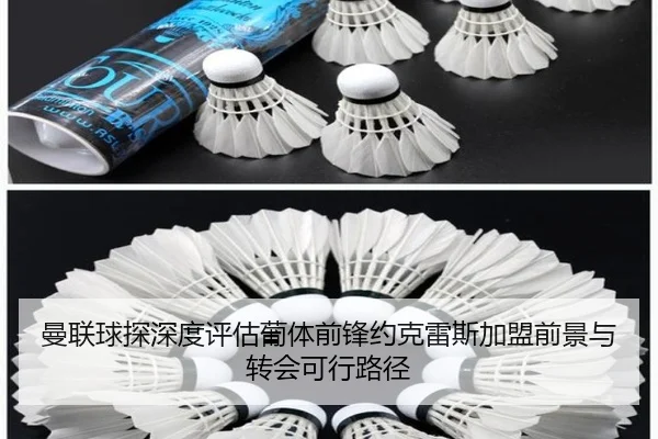 曼联球探深度评估葡体前锋约克雷斯加盟前景与转会可行路径